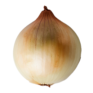 Cipolla