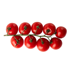 Pomodorini